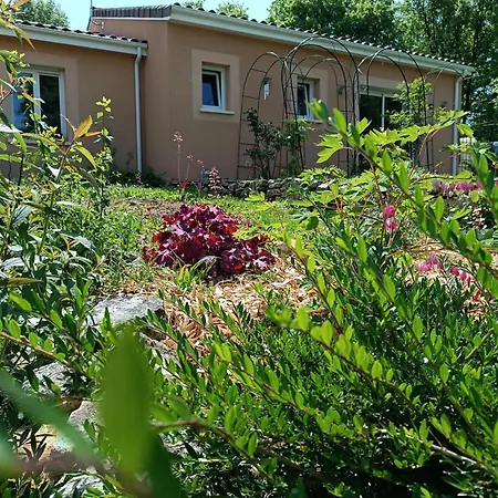 Escale Gourmande- Avec Terrasse & Diner Maison Possible Eyzerac