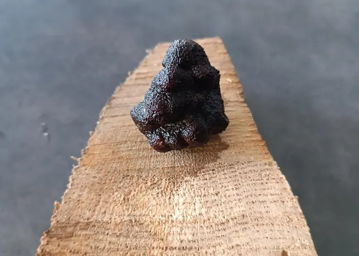 Bed & Breakfast Escale Gourmande